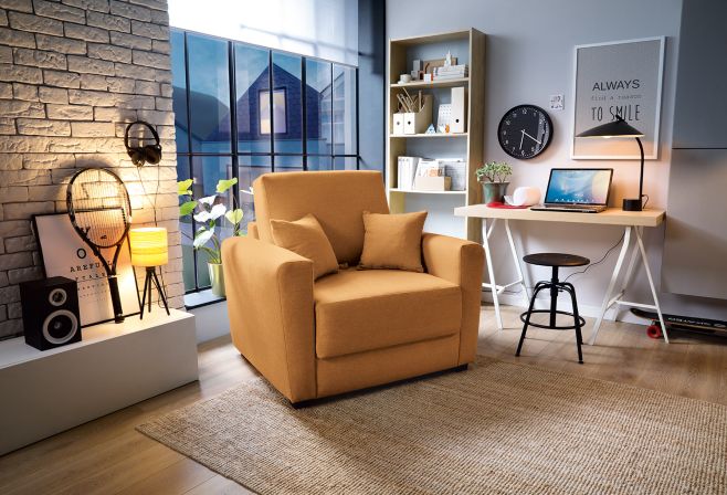 Olly Single Sofa Bed 