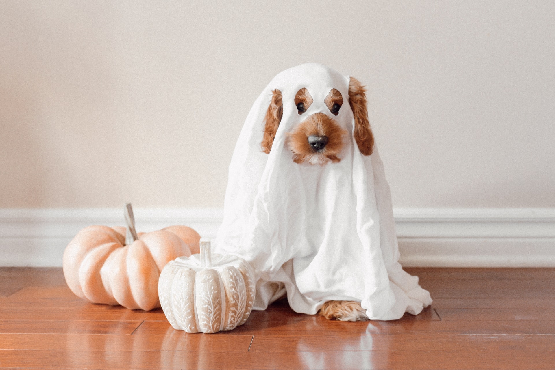 spooky-design-mistakes
